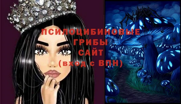 прущий лед Надым