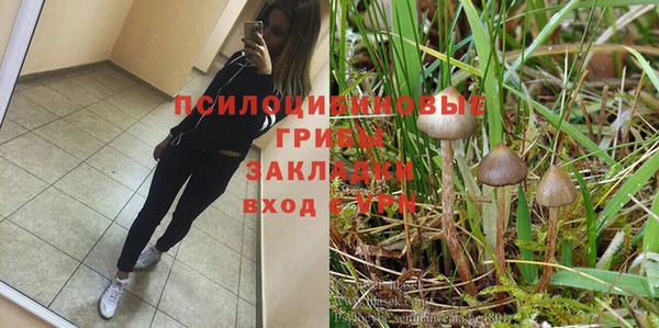 прущий лед Надым