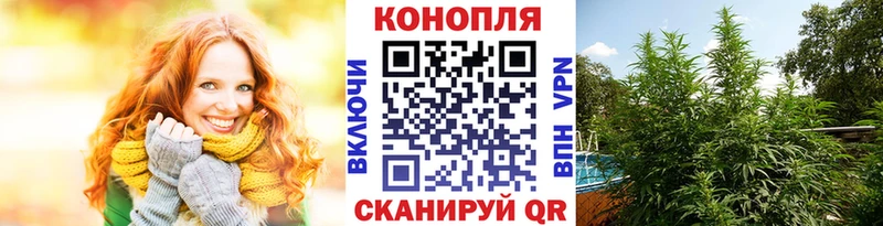 Канабис марихуана  Нерчинск 